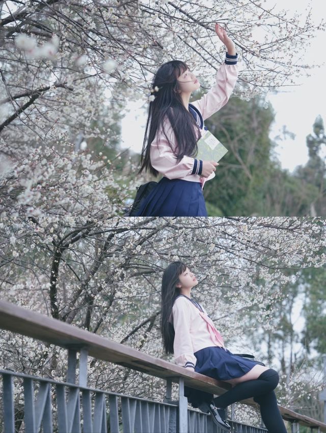 成都春日限定｜白梅花與JK少女，美得犯規！