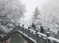 春雪銀裝素裹，宛如畫卷。