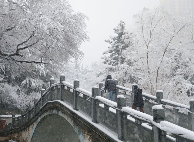 春雪銀裝素裹，宛如畫卷。