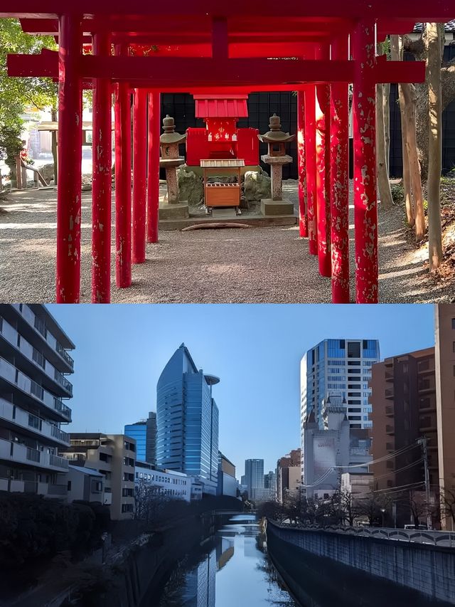 日本志摩市 | 小眾寶藏旅行地攻略