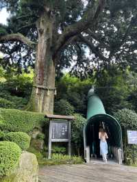 成川美術館｜坐擁蘆之湖與富士山美景