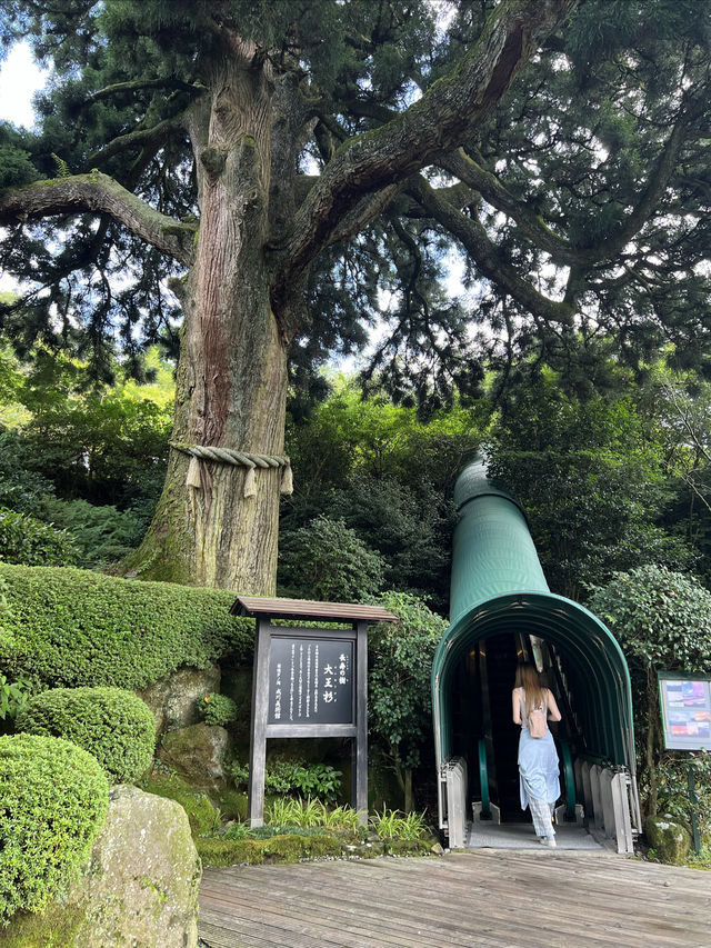 成川美術館｜坐擁蘆之湖與富士山美景