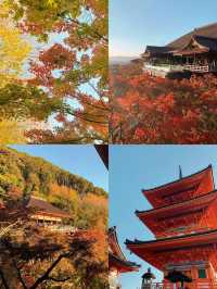 日本6日遊 人均3k輕鬆玩轉