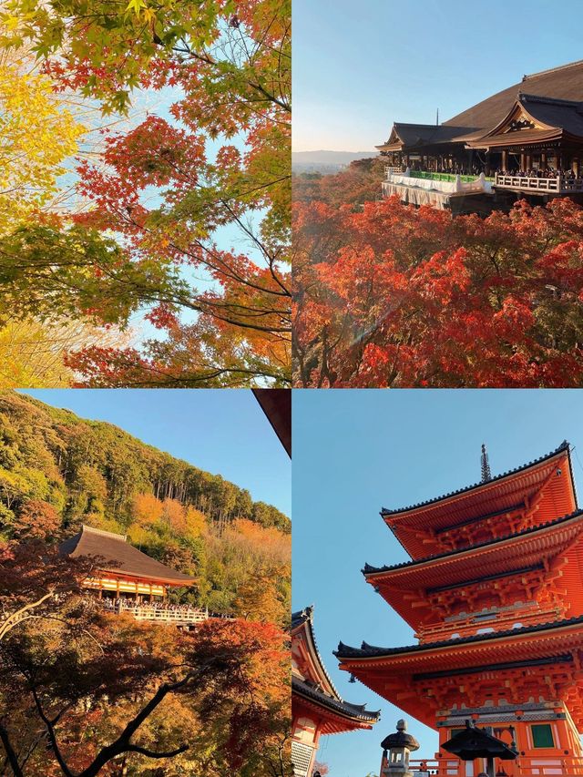 日本6日遊 人均3k輕鬆玩轉