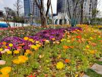 斗南花市旁竟然藏着一座鮮花主題公園