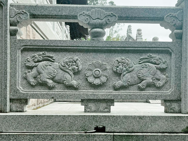 Discover Ancient Rock Carvings: Chongqing Day Tour 