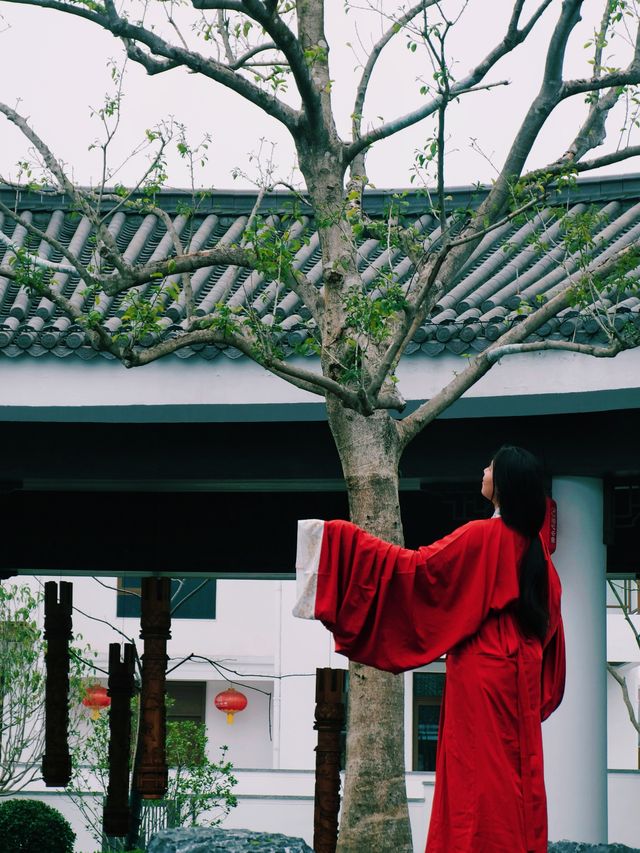春日限定美好—油菜花