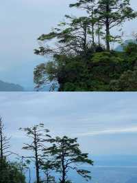 佛系青年的修仙之旅