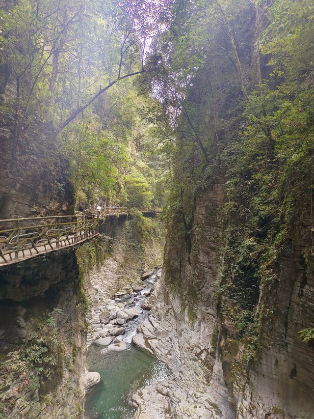 10日暢遊重慶-長江三峽-神農架 超詳細攻略來襲