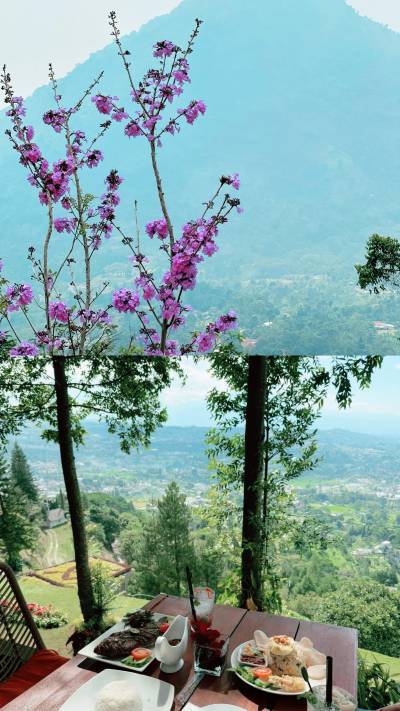 Bogor Botanical Gardens Tickets [2025] Promos, Prices, Reviews