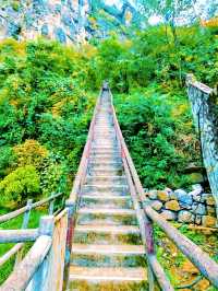 在九皇山的雲霧與山林間，尋一段詩意的時光