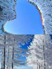 在哈爾濱！最像芬蘭的小眾賞雪地！