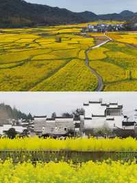 婺源賞油菜花‖打卡避坑攻略