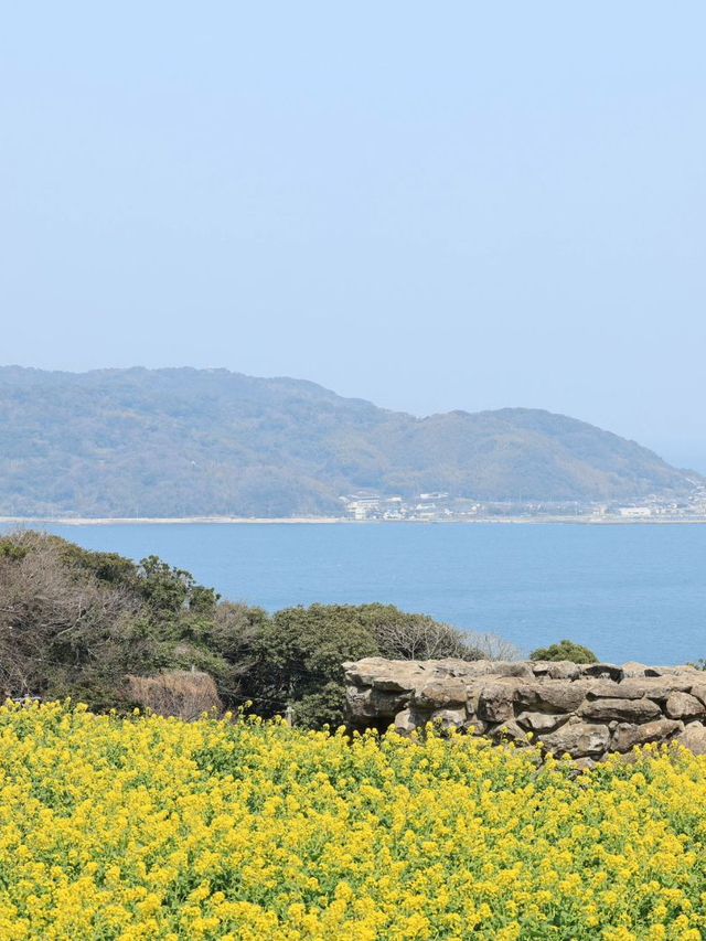 能古島，超級隱世的秘境小島✨