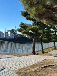 日本9日遊 小長假出行正當時