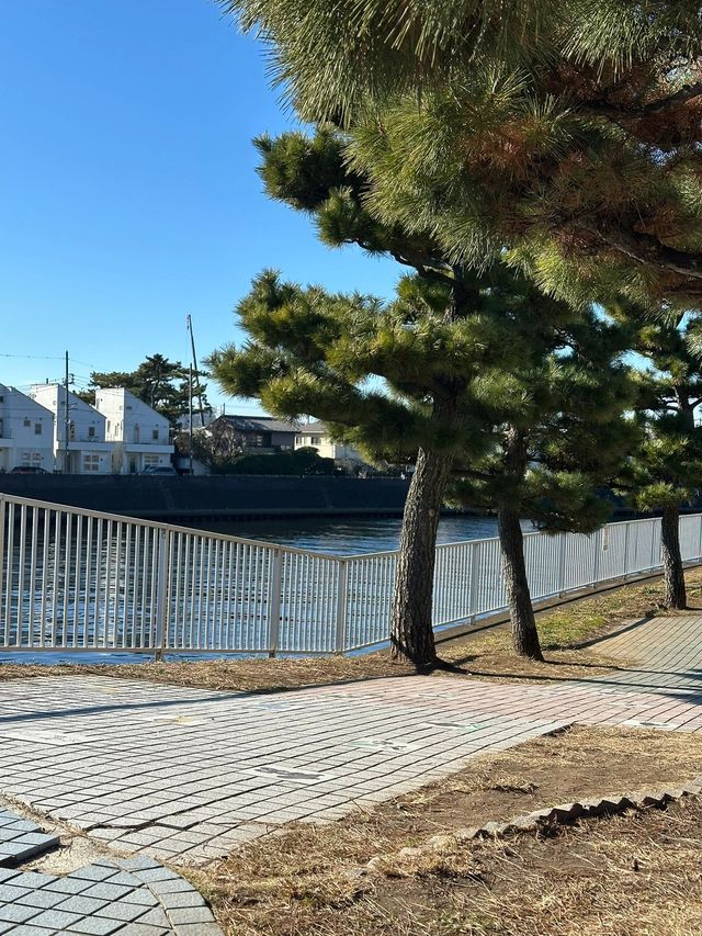 日本9日遊 小長假出行正當時