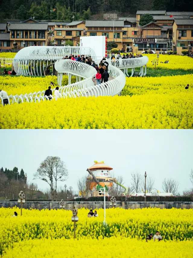 더양 유채꽃 감상‖인기 명소 및 주의사항