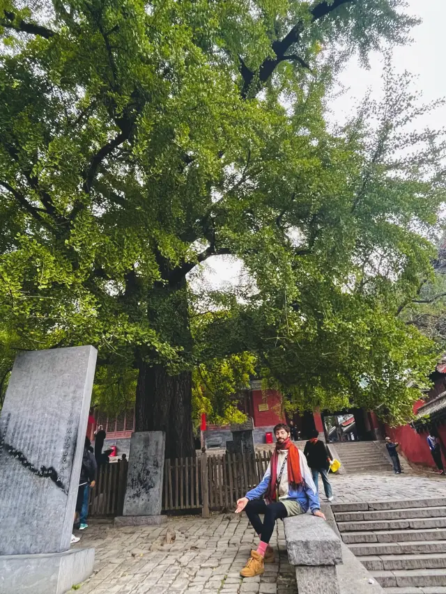 Why Luoyang is your next destination. Part 1 