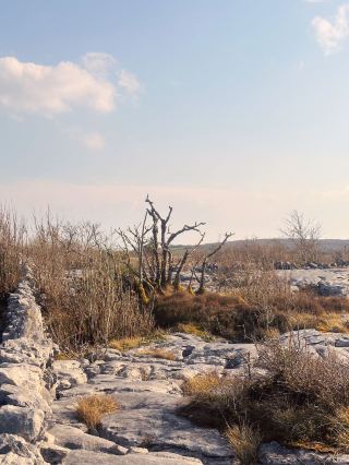 Wild Atlantic Way 2 วันแห่งการสำรวจความลับ