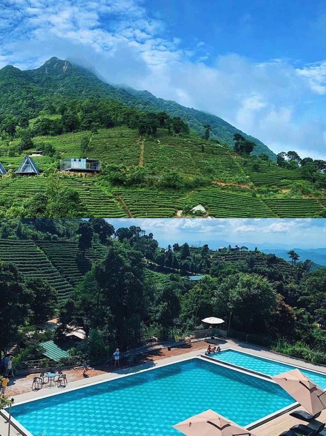 廣東春日團建上春山採春茶體驗慢生活