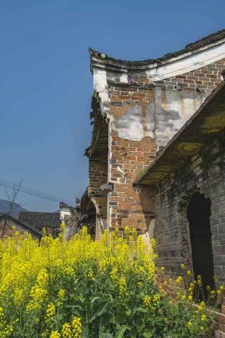 Spring Outing to Yanglin Ancient Town, Hengdong