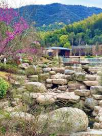 怒罵宜興西岸凰川!!畀我做咗一日公主而家戒唔甩