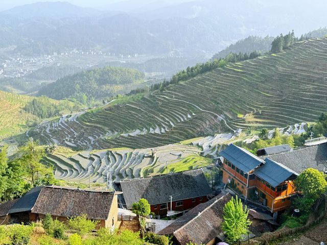 婁底|紫鵲界梯田|旅遊攻略齊全
