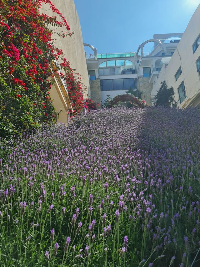 大理理想邦旅遊度假小鎮 大理理想邦旅遊度假小鎮