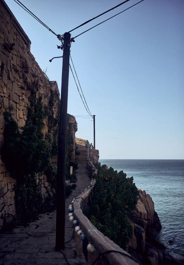 與孩子共赴海島奇遇