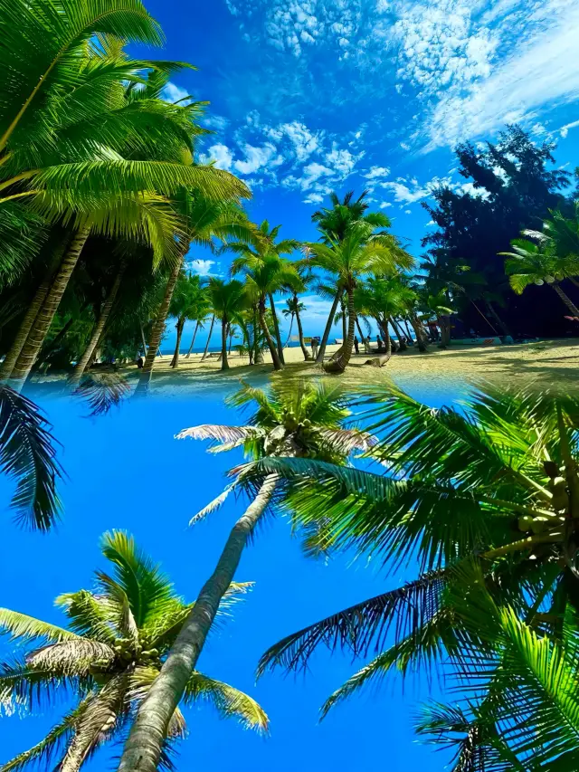 Not because you can't afford to go abroad ~ but because Wanning offers better value for money