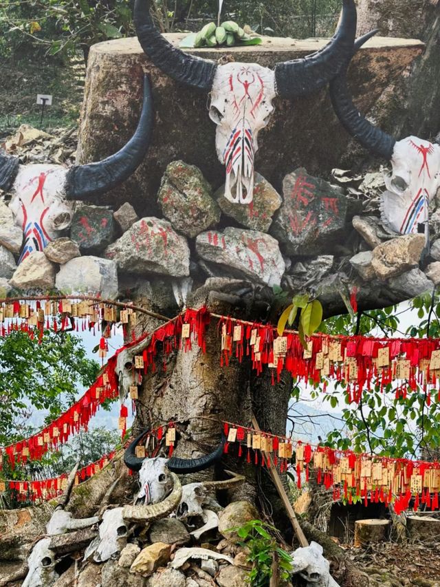 中國最後一個原始部落【翁丁】