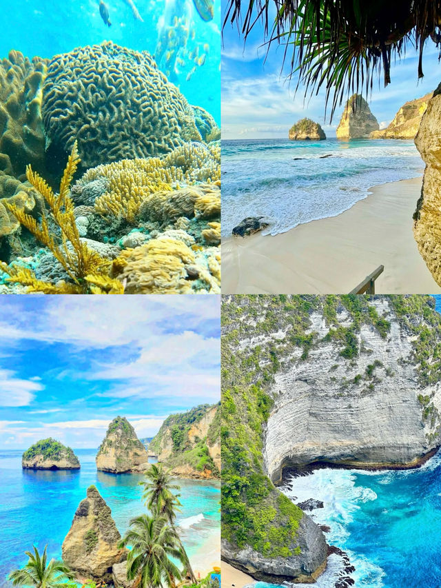 佩尼達島|自由的精靈永不墜崖