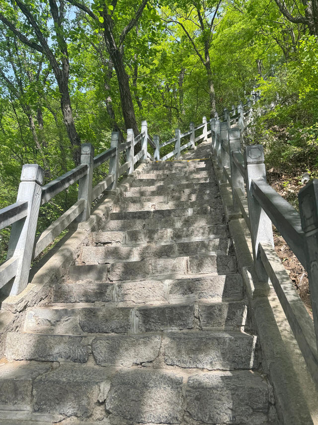 哇哦！跟著王維詩，開啟雲台山一日奇幻之旅！