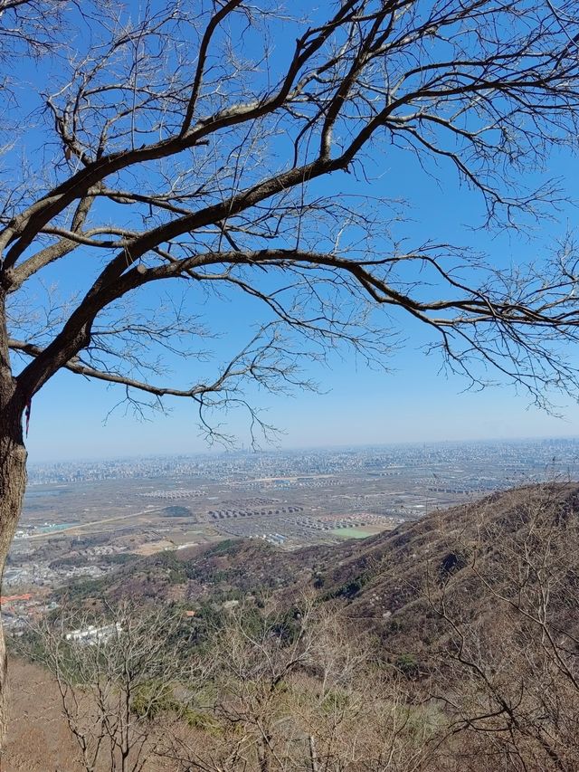 走近香山，走進春天