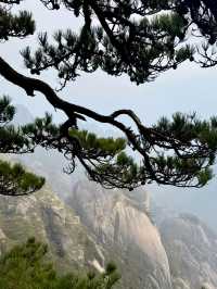 探索黃山，邂逅人間仙境！