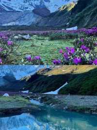 墨脫旅遊攻略｜西藏秘境徒步天堂，穿越熱帶雨林與雪山之巔