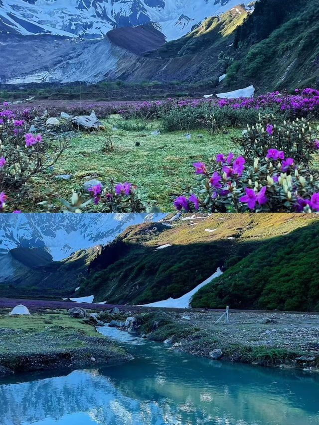 墨脫旅遊攻略｜西藏秘境徒步天堂，穿越熱帶雨林與雪山之巔