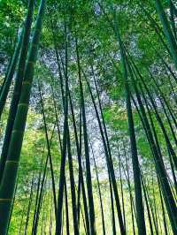 五一小眾路線皖南三日親子自駕遊，行程超詳細！