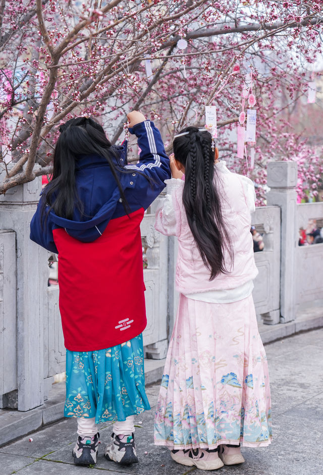 5月嘅佳木斯，追到咗東北第一場花海
