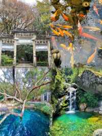 蒼山旅遊攻略：邂逅仙境般的自然靈氣