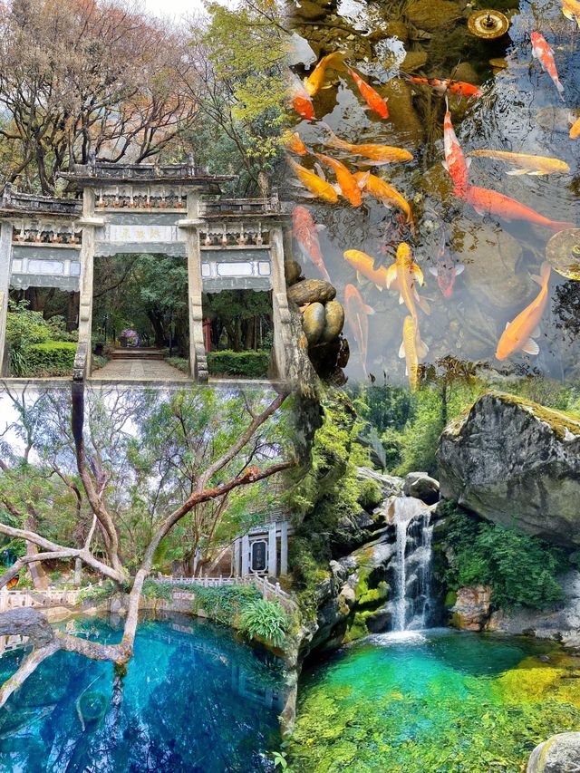 蒼山旅遊攻略：邂逅仙境般的自然靈氣