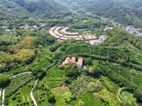雁南飛茶田景區