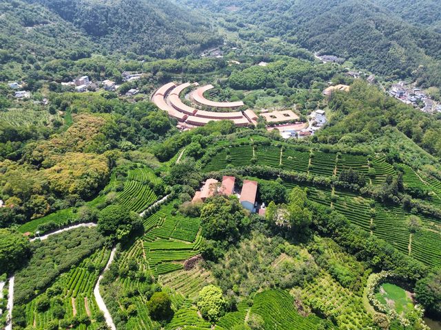 雁南飛茶田景區