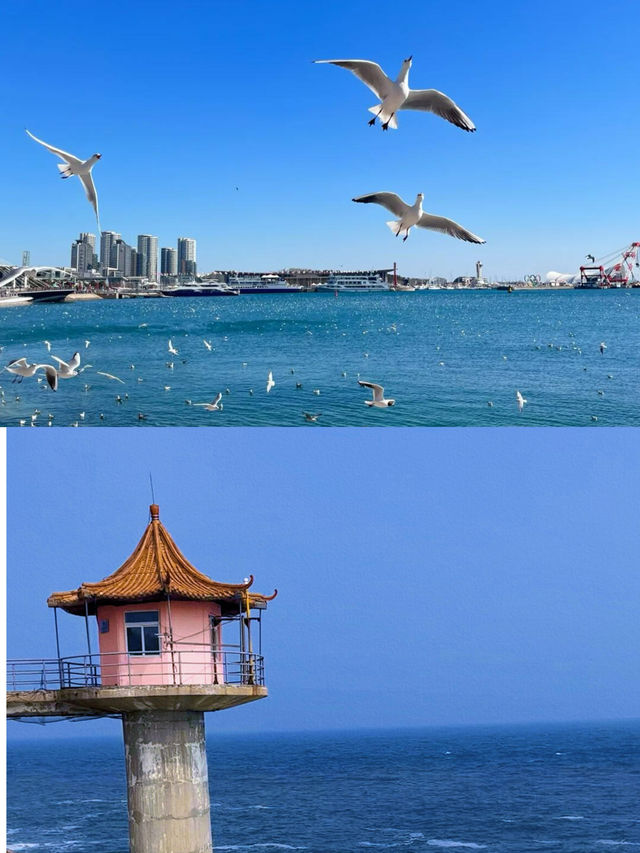 青島旅行睇呢篇就夠喇