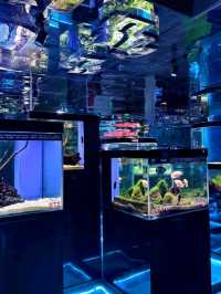 Diving into Savings & Magic!�🐠