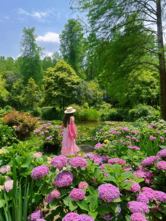 救命！！在武漢誤闖愛麗絲仙境花園💐實況live美到窒息😭
