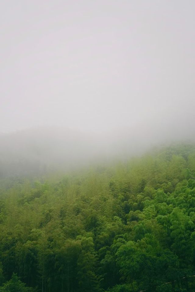 唔好再亂搜啦！呢個先係莫干山嘅正確打開方式