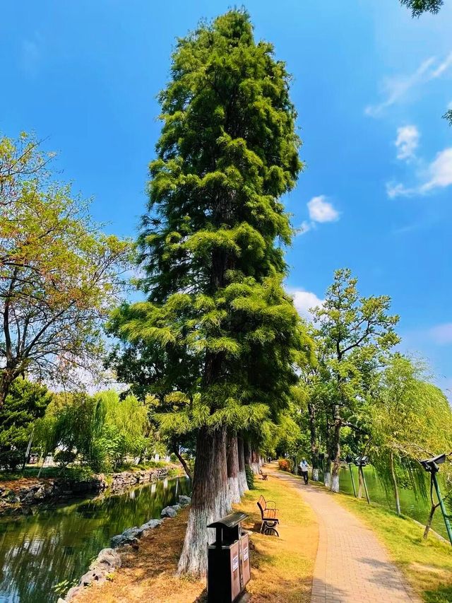 打工仔週末旅行第37站安徽 安慶