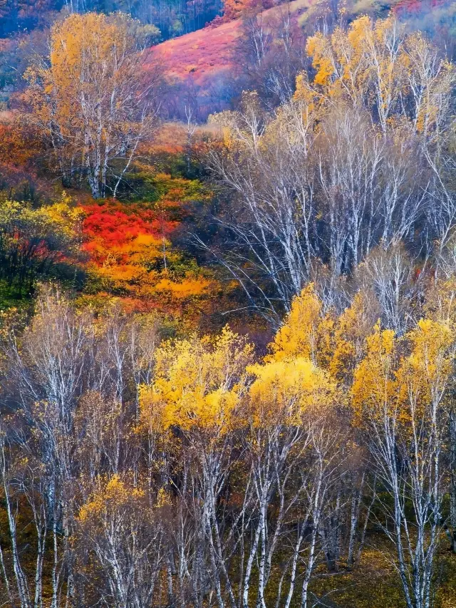 こんなに近くて美しい、河北省には何がある？