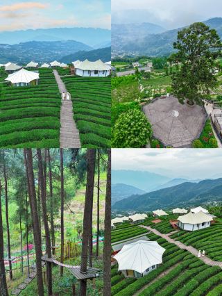 Stay in a high-mountain tea garden and breathe in the fresh air of nature